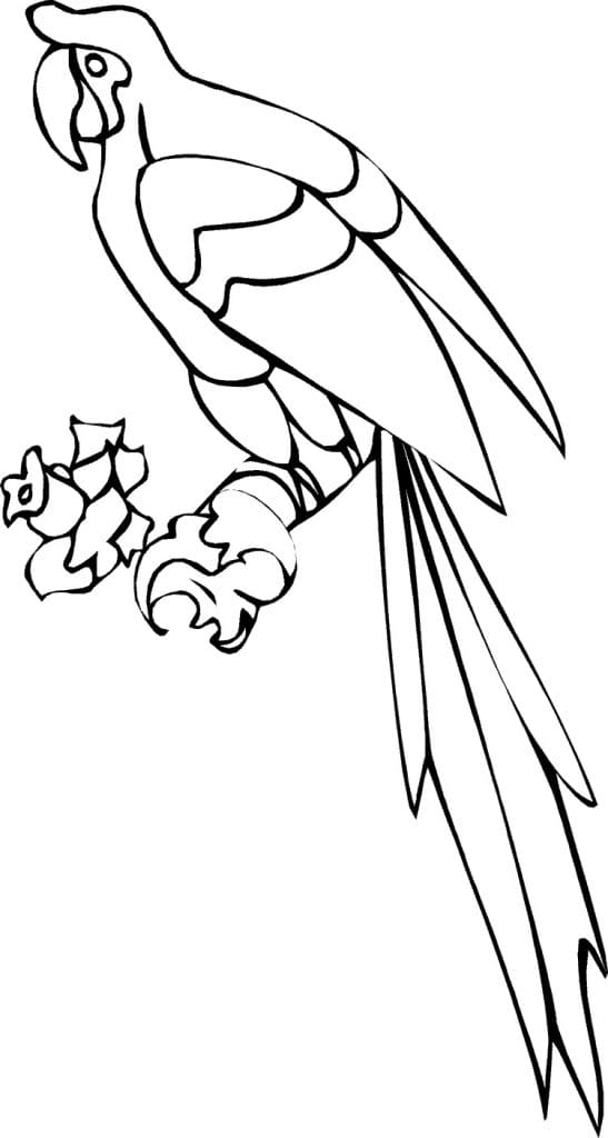 Parrot Coloring Photos Coloring Page