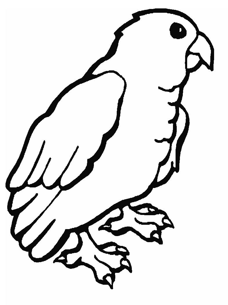 Parrot Cute Printable Coloring Page