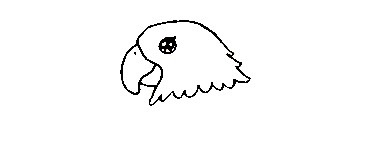 Parrot-Drawing-1