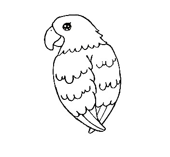 Parrot-Drawing-4