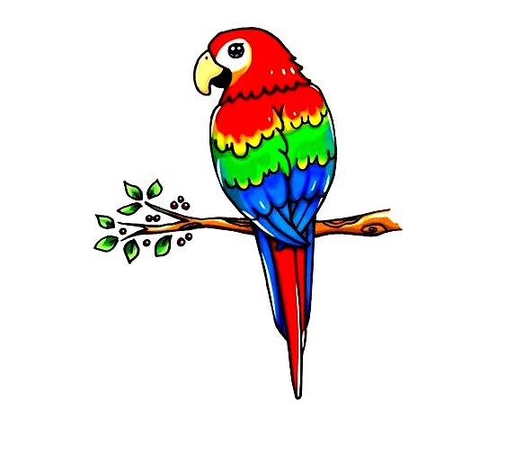 Parrot-Drawing-7