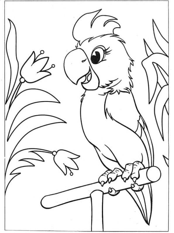 Parrot Flower Free Printable Coloring Page