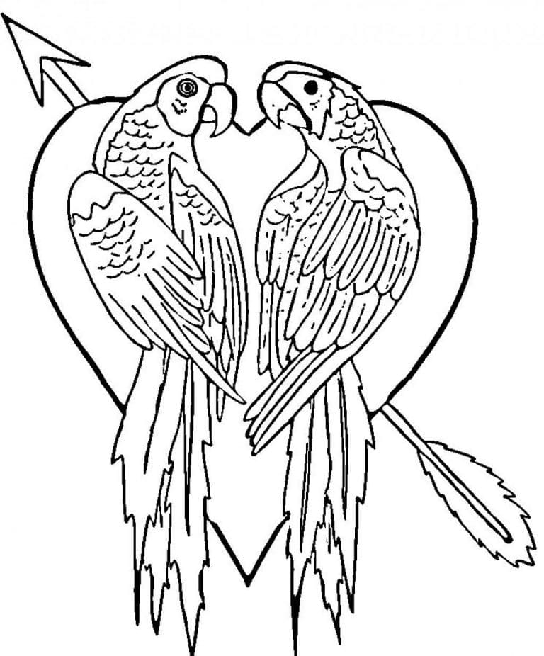 Parrot For Kids Image Coloring Page