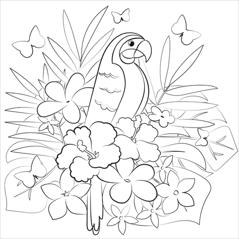 Parrot Free Printable Image Coloring Page