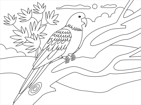 Parrot Free Printable Picture Coloring Page