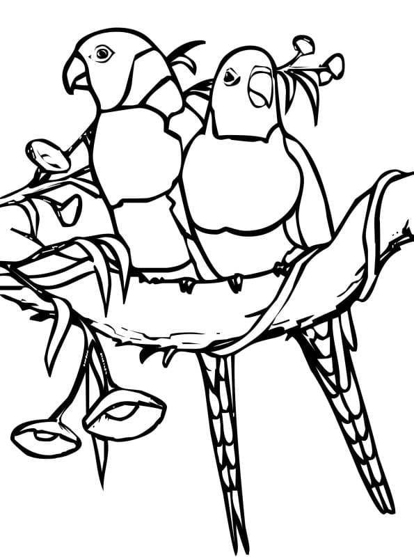 Parrot Image Free For Kids Coloring Pages - Coloring Cool