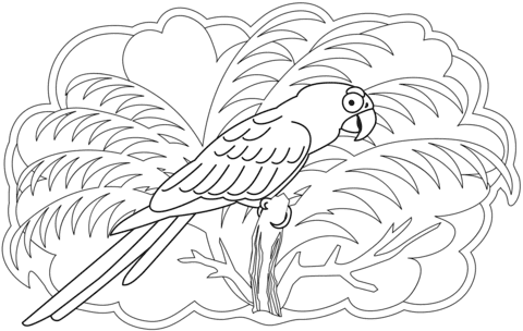 Parrot Image Free Printable Coloring Page