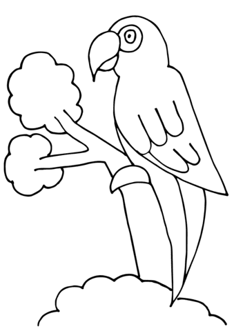 Parrot Image Free Coloring Page