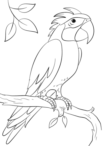 Parrot Perching on Branch Free Printable Coloring Page