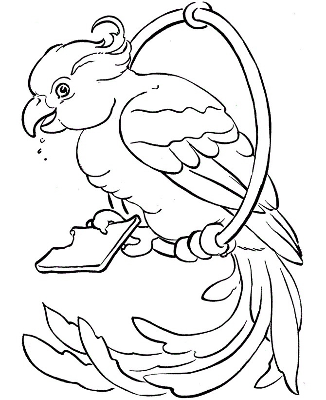 Parrot Pictures Image Coloring Page