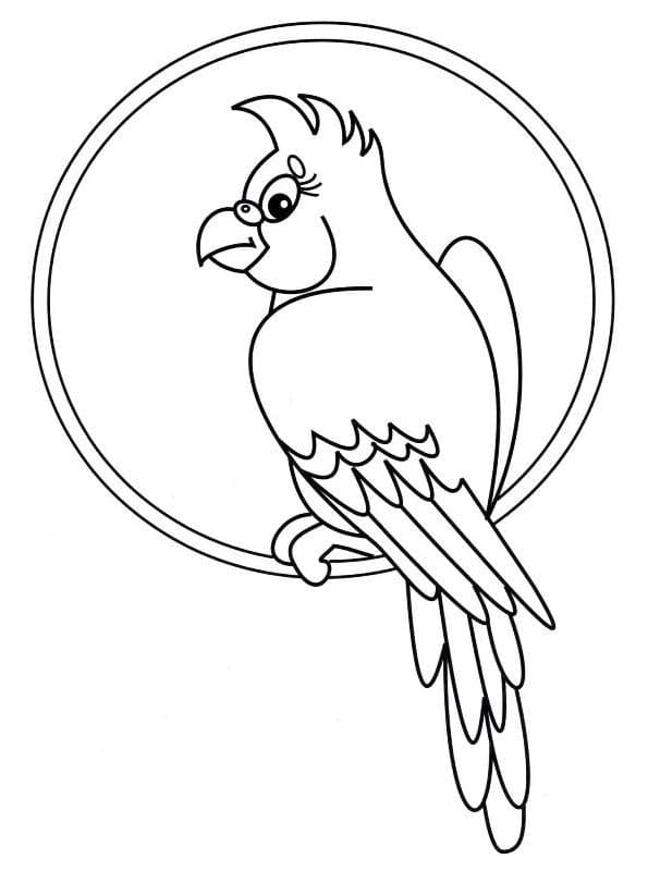Parrot Say Hello Free Printable Coloring Page
