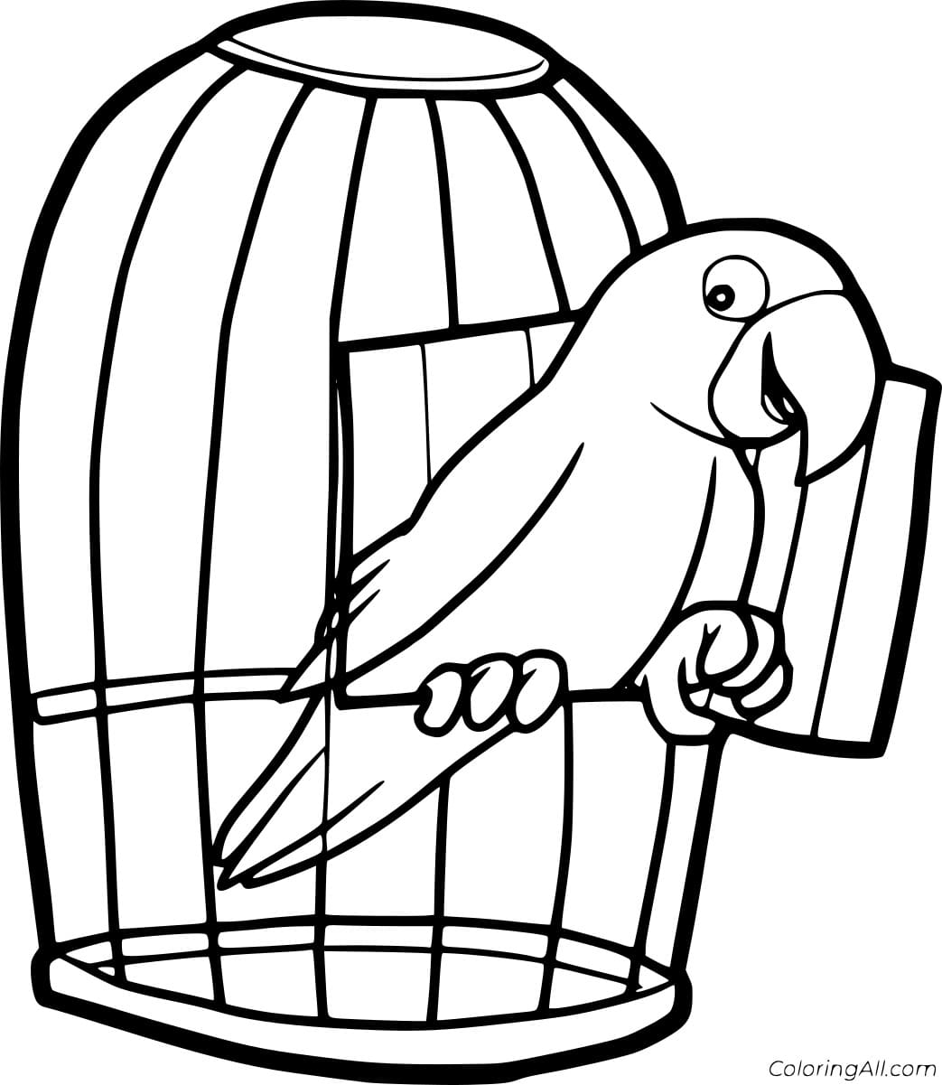 Parrot In The Cage Coloring Free Printable