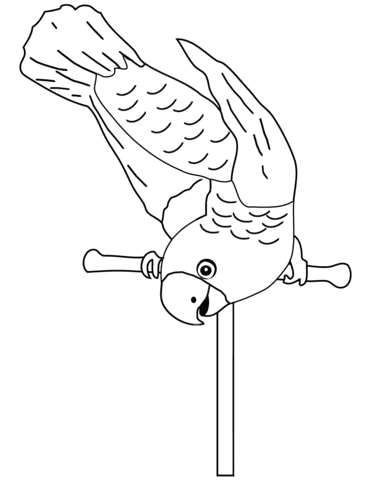 Parrot on Perch Free Printable Coloring Page