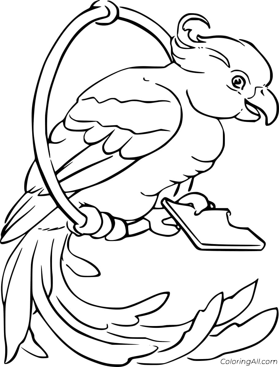 Parrot on the Swing Free Coloring Page