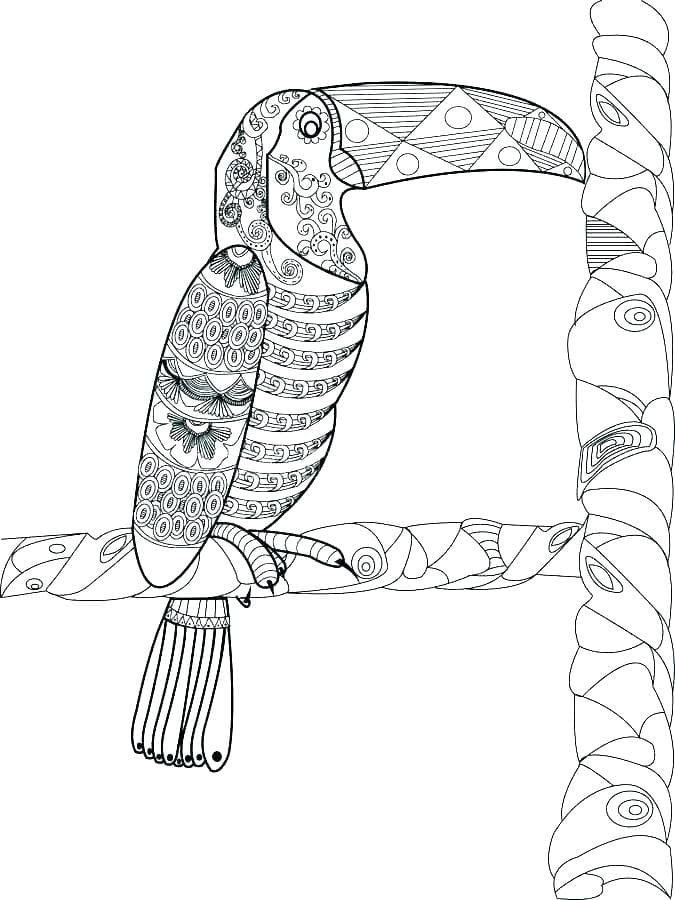 Pattern Toucan Free Printable Coloring Page