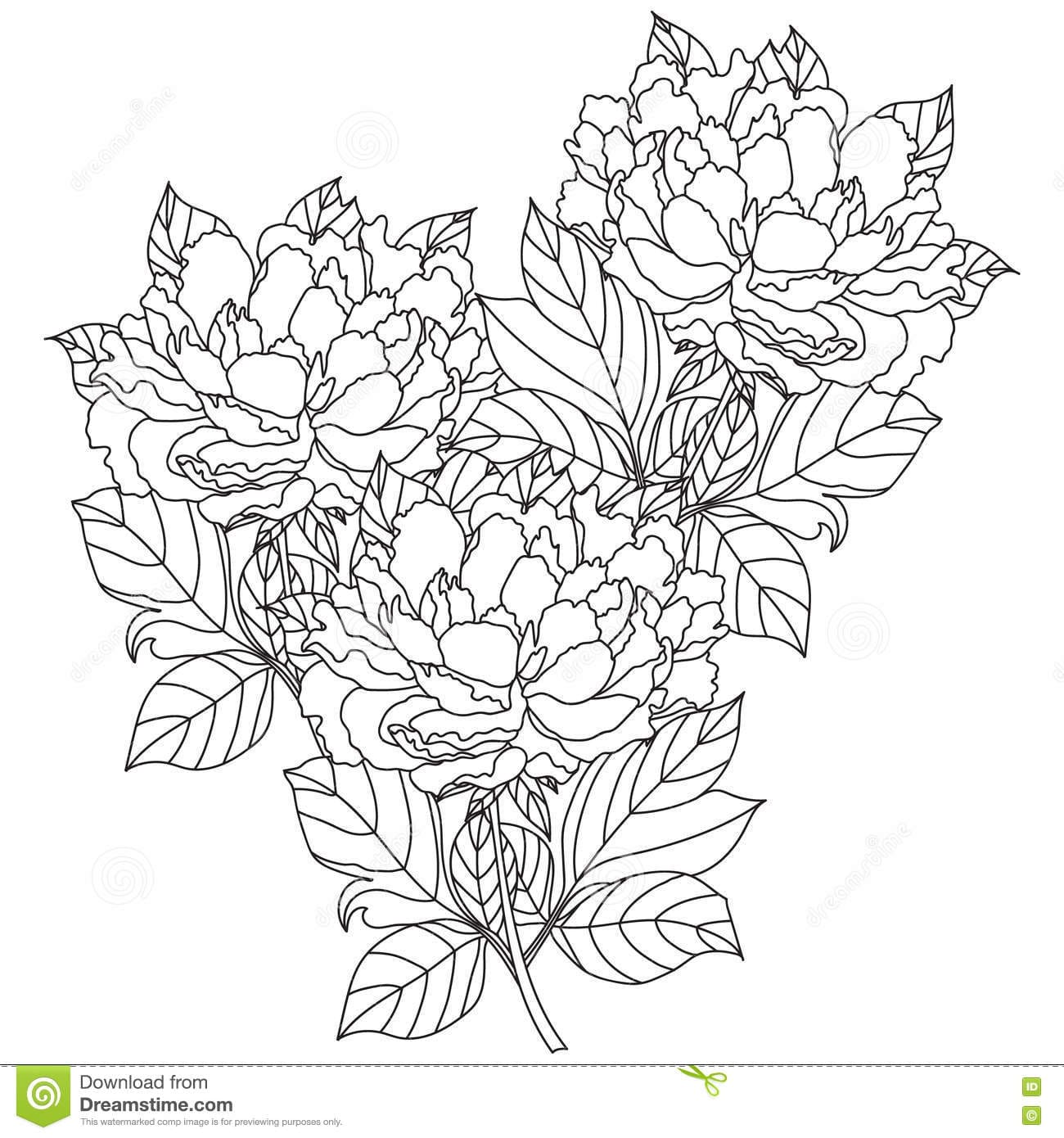 Peony Bouquet Free Printable Coloring Page