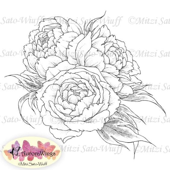 Peony Cute Picture For Children Coloring Page