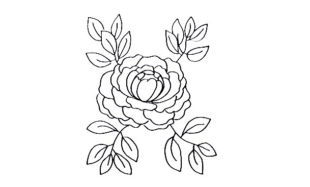 Peony-Drawing-7