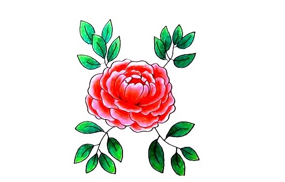 Peony-Drawing-8