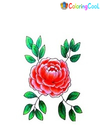 8 Simple Steps To Create A Nice Peony Drawing – How To Draw A Peony Coloring Page