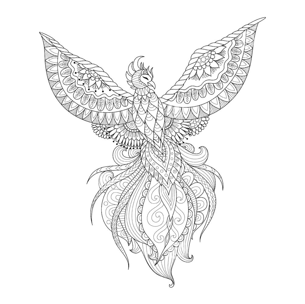Phoenix Bird For Tattoo Coloring Page