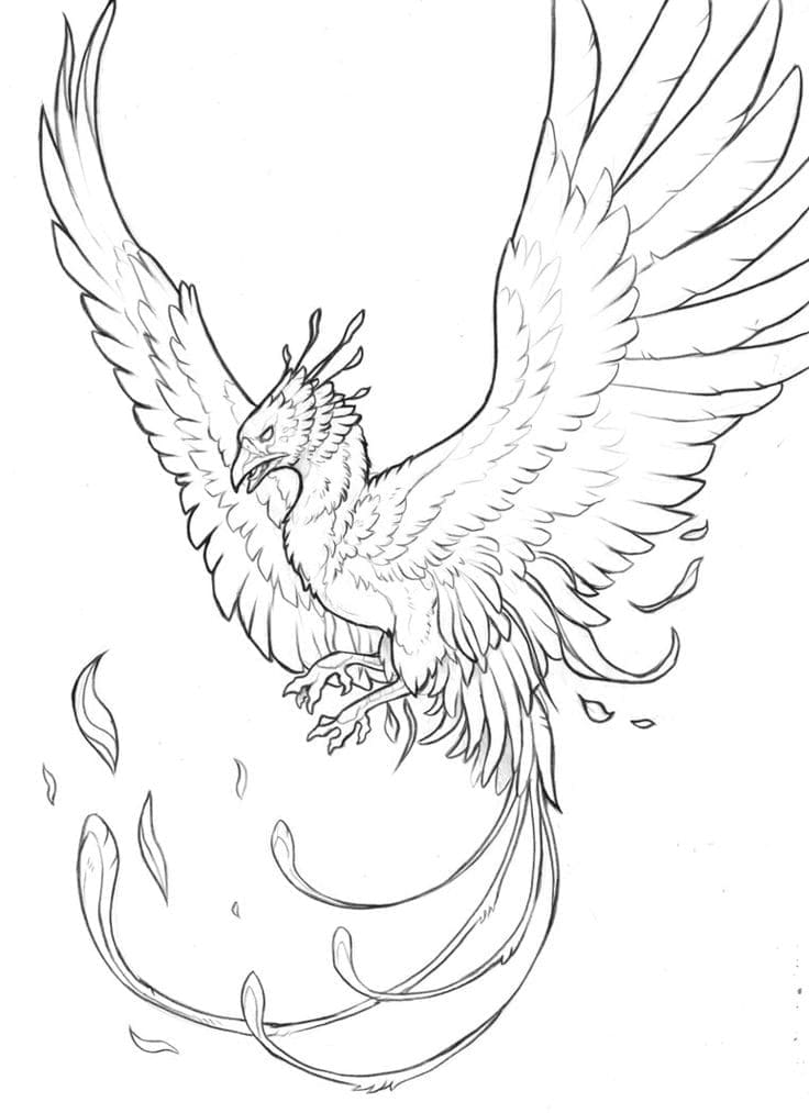 Phoenix In The Sky Coloring Page