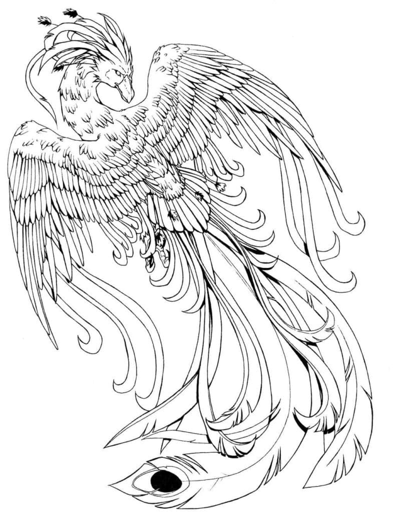 Phoenix Picture Free Coloring Page