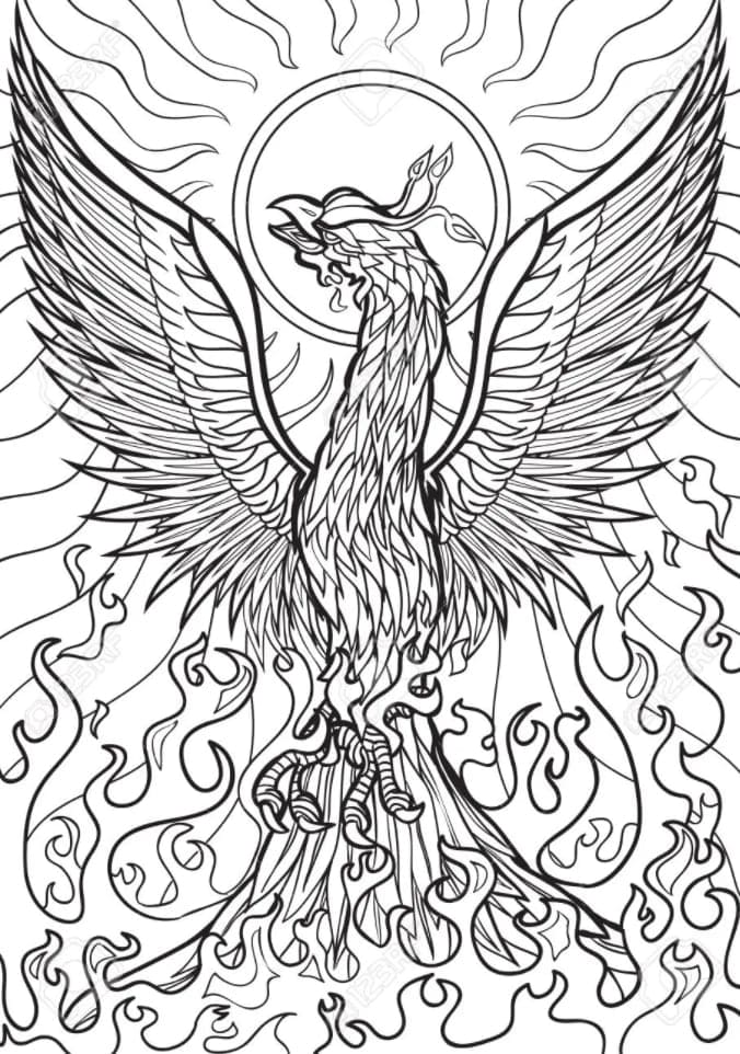Phoenix And Fire Coloring Page
