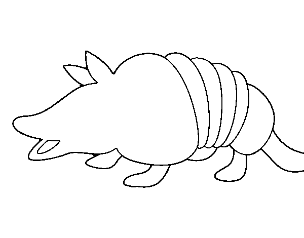 Picture Armadillo Free Coloring Page