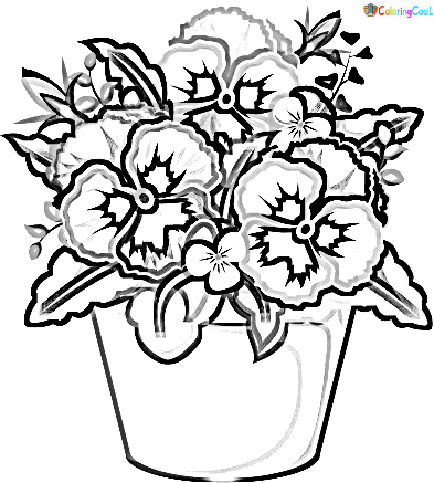 Picture Pansy Beautifull Free Coloring Page