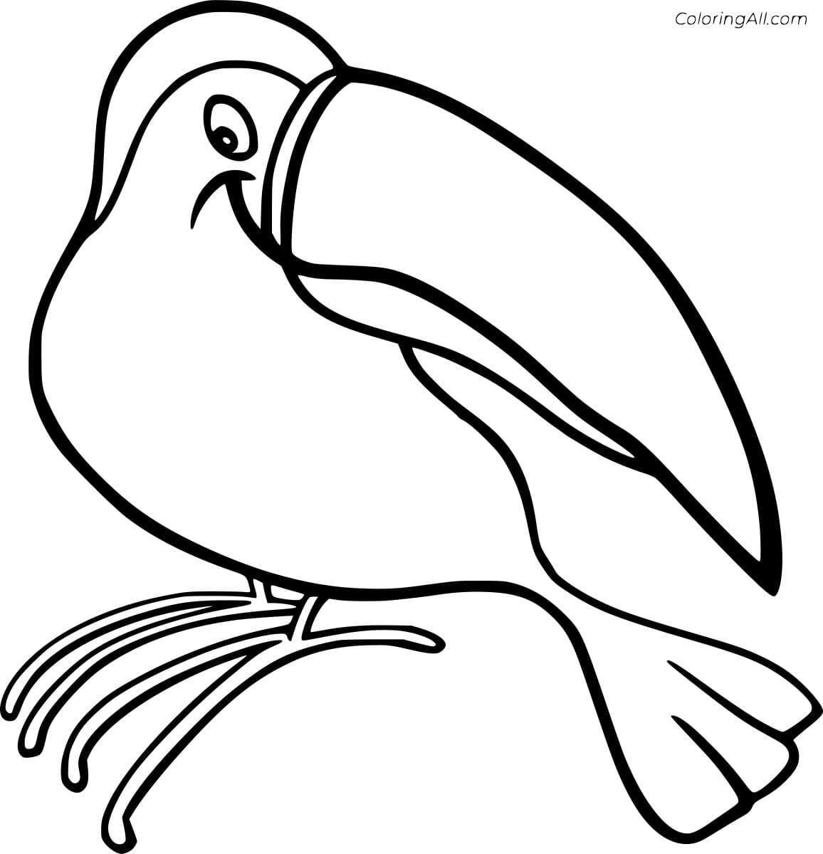Plate Billed Mountain Toucan Picture Coloring Page