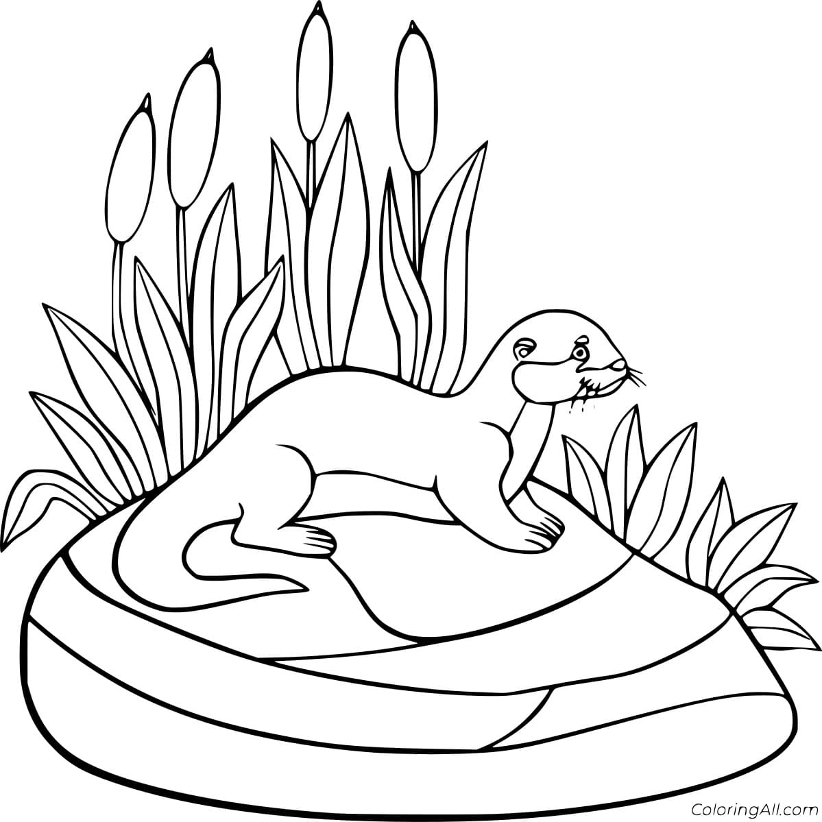 Printable Cartoon Otter On the Rock Free Coloring Page