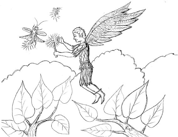 Printable Firefly Free For Kids Coloring Page
