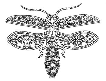Printable Free Firefly Image Coloring Page