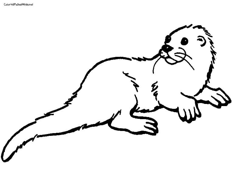 Printable Free Sea Otter Coloring Page