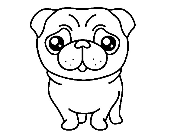 Pug-Dog-Drawing-6