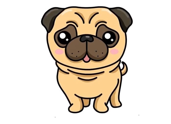 Pug-Dog-Drawing-8