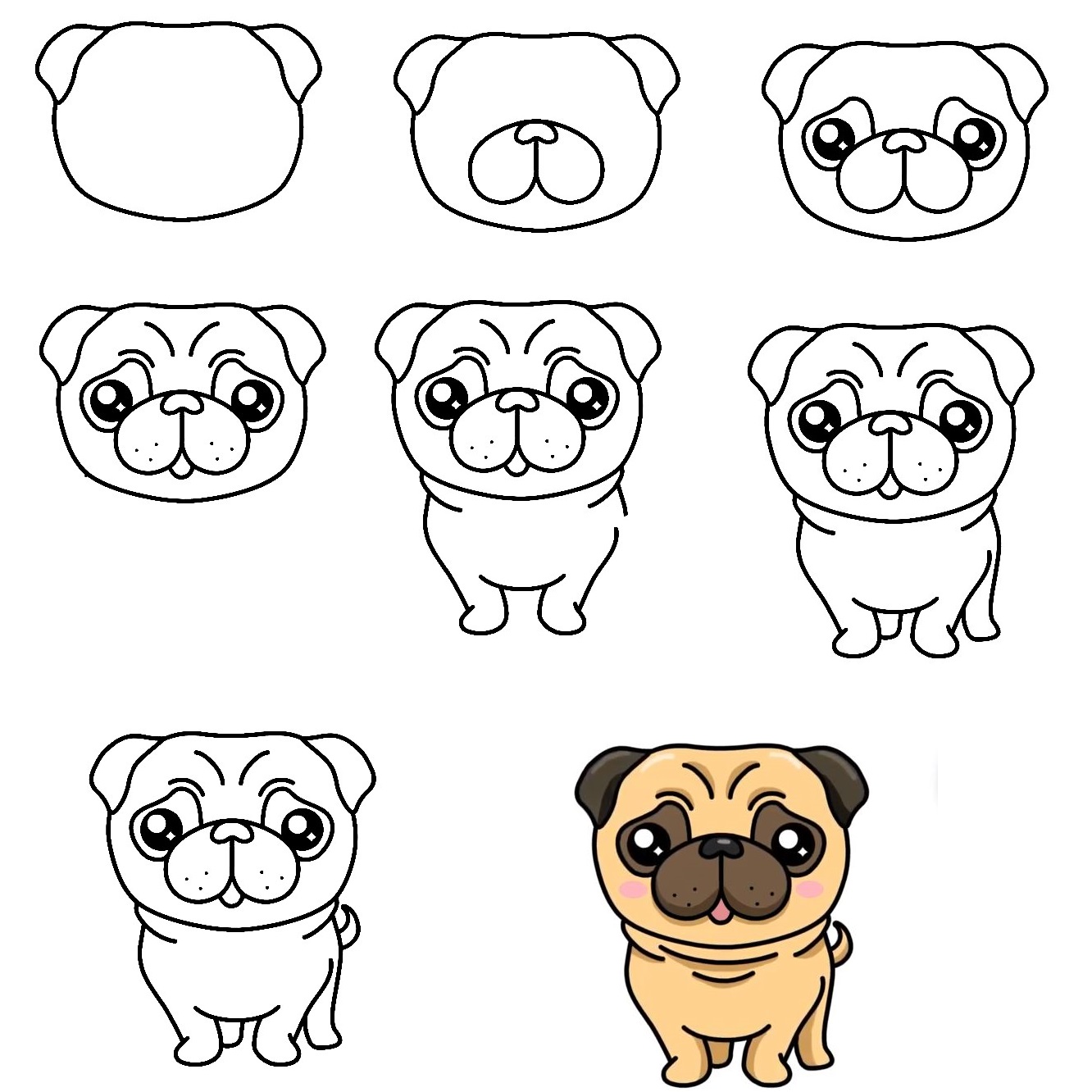 Pug-Dog-Drawing