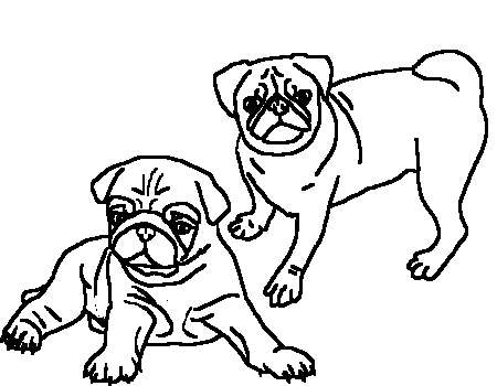 Pug Printable Coloring Pages Free