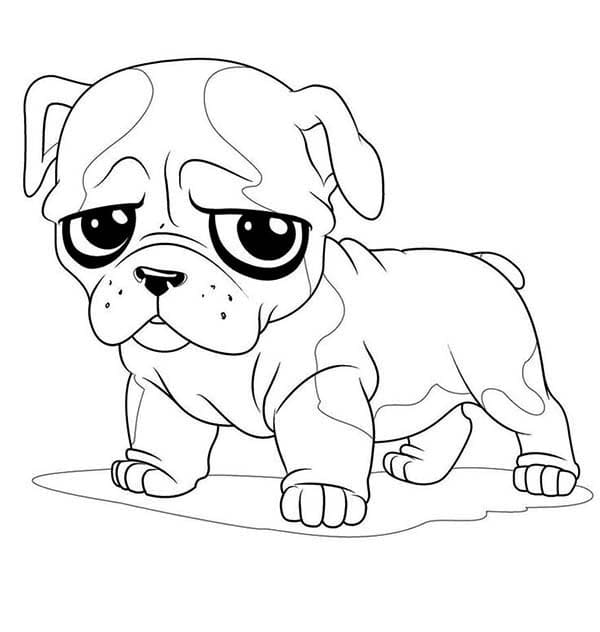 Pug Puppy Free Coloring Page