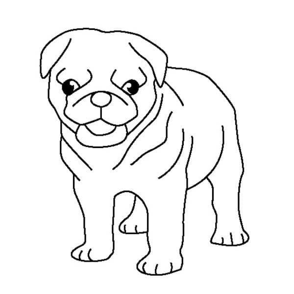 Pug Puppy Printable Coloring Page