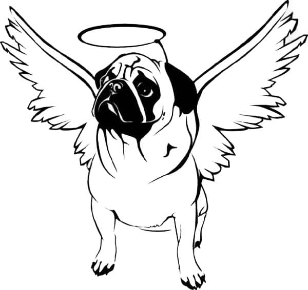 Pug with Hallo Coloring Page Coloring Page