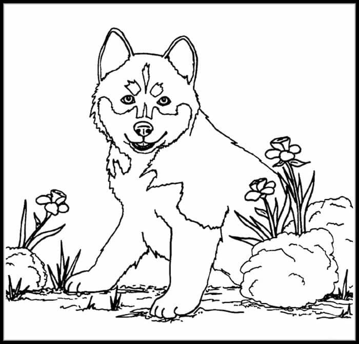 Puppy In The Garden Coloring Page