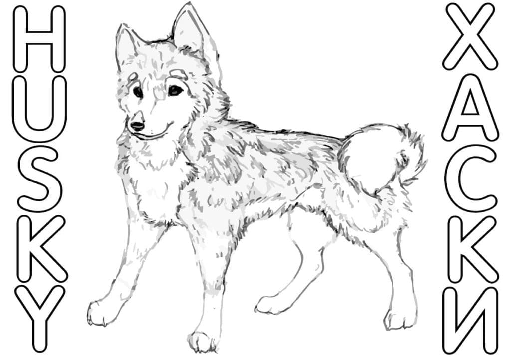 Quite A Puppy Free Printable Coloring Page