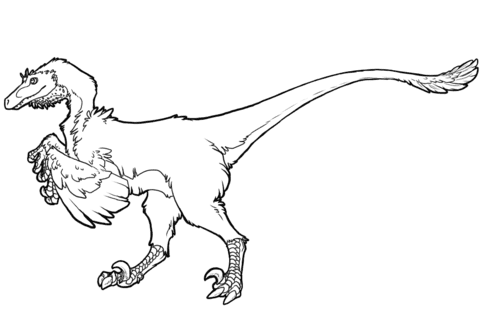 Raptor Dinosaur Coloring Free Coloring Page