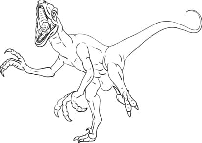 Raptor Dinosaur Free Coloring Page
