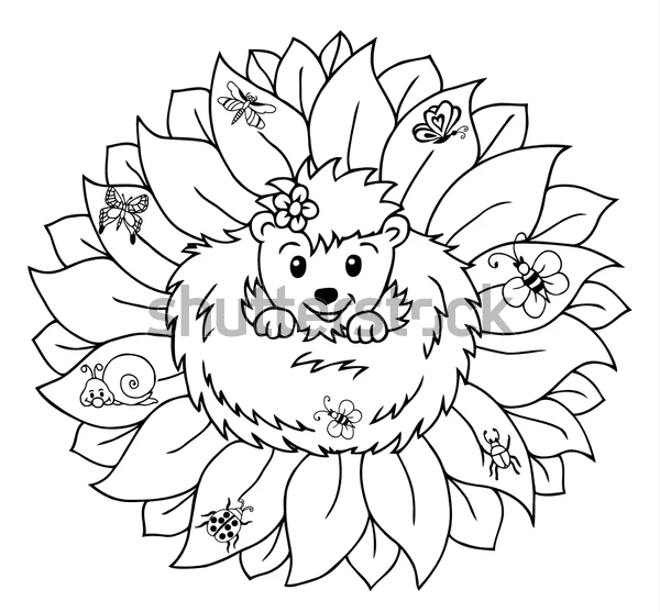Realistic Hedgehog Picture Coloring Page