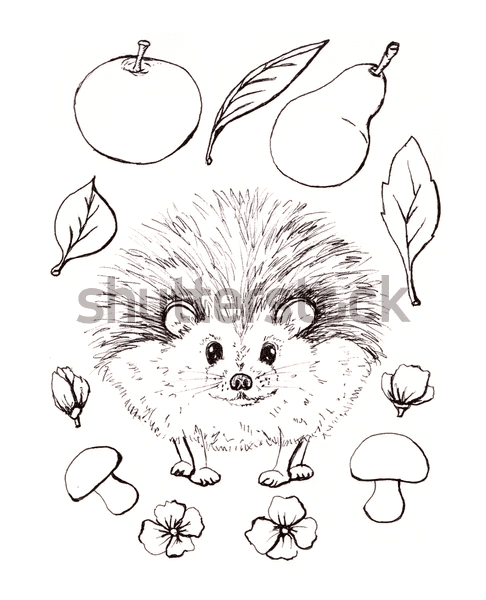 Realistic Hedgehog To Print Coloring Page