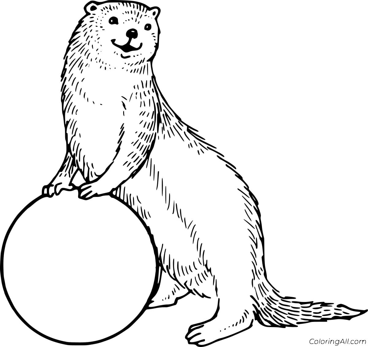 Realistic Otter Playing a Ball Free Printable