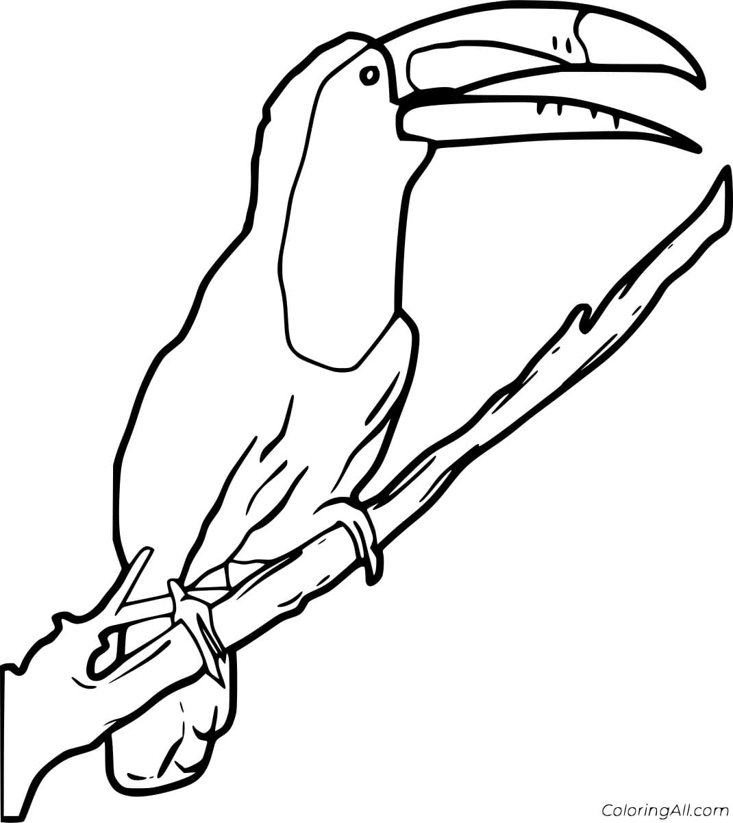 Realistic Toucan on the Branch Coloring To Print Coloring Page